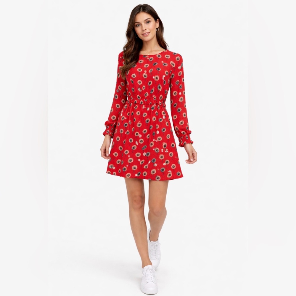 J. Crew Factory Dress Red and Blue 4